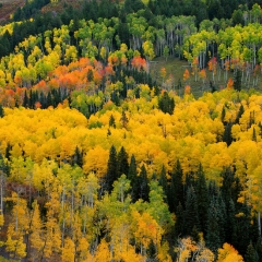 Telluride-Colors