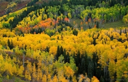 Telluride-Colors
