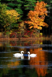 Awaken-your-Inner-Peace