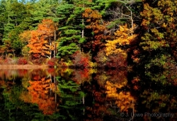 South-Hampton-Pond-1