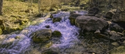 Little-Elk-Creek