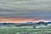 Buffalo-Sunset_Enhancer-media