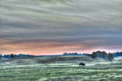 Buffalo-Sunset_Enhancer-media