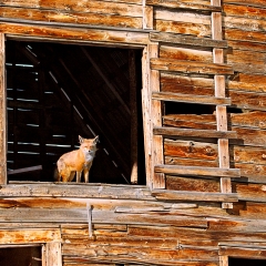 New Tenant