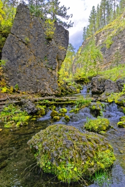 Spearfish-Canyon-Side-Creek-media