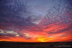 1_Edgemont-Sunset-media