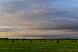 1_First-Cutting-of-Hay-media