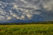 After-the-Storm