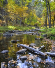 Custer-Creek