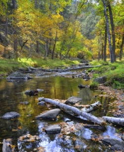 Custer-Creek