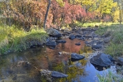 Custer-State-Park-Creek-web