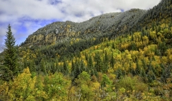 Early-Snow-in-the-Canyon