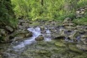 Iron-Creek-Spring-1