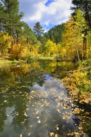Iron-Creek-Trail-15-media