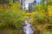 Iron-Creek-Trail-Colors-media