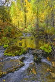 Iron-Creek-in-Spearfish-Canyon-media