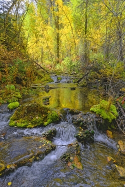 Iron-Creek-in-Spearfish-Canyon-media