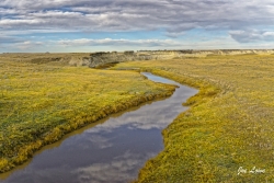 Moreau-River-media