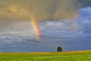 Rainbow-Sunset-media
