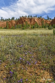 Red-Canyon-6