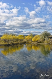 Reflections-In-The-Pond-media