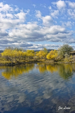 Reflections-In-The-Pond-media