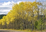 Road-to-Mt-Rossevelt-media