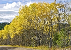 Road-to-Mt-Rossevelt-media