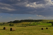 Spring-at-the-Ranch