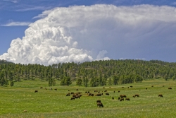 Summer-Storms-At-The-Park-Media