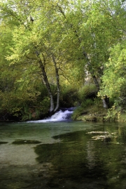 The-Pond-1
