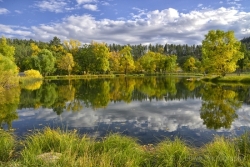 The-Pond-at-the-Game-Lodge