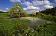 The-at-Custer-State-Park-2-media