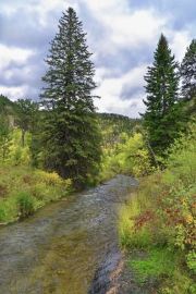 Two-Trees-on-the-Creek-media
