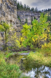 Vanooker-Canyon-Fall-Colors-and-Water-small_edited-1