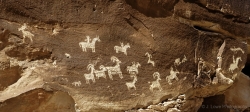 Woopup Canyon Rock Art
