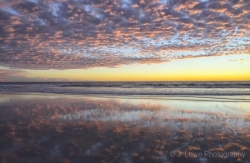 Oceanside-Sunset-6